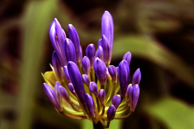 跑步变学生寒假作业 该如何引导孩子爱上运动？.