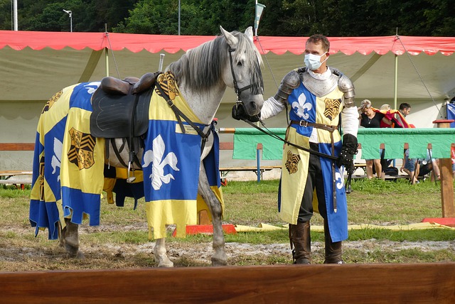 而郑钦文所 而郑钦文所