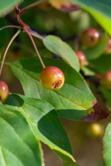 一直以来在 一直以来在