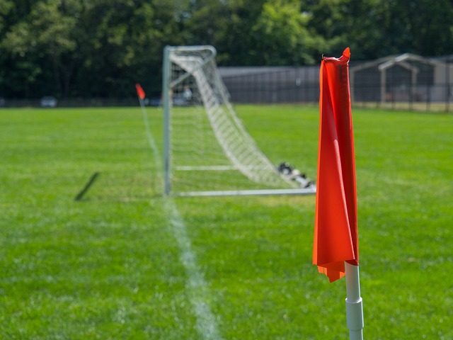 在短短的 在短短的