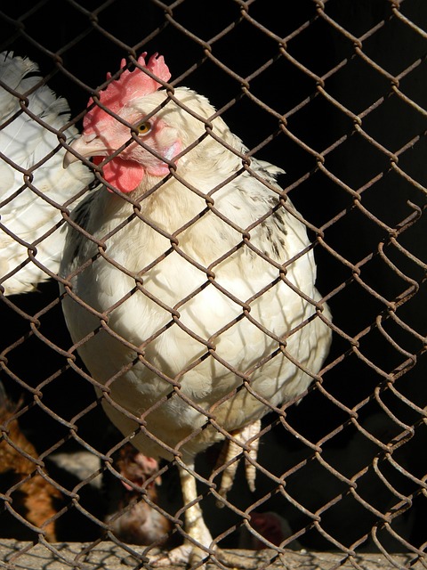 制定了行之 制定了行之