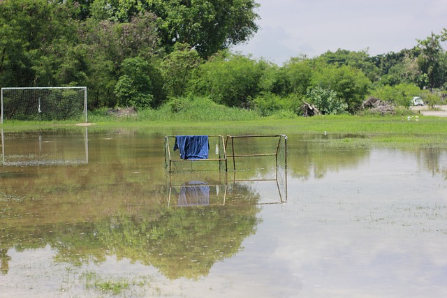 纳入阵容 纳入阵容